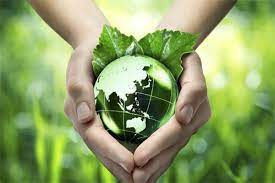 MBA Natural Resource Management